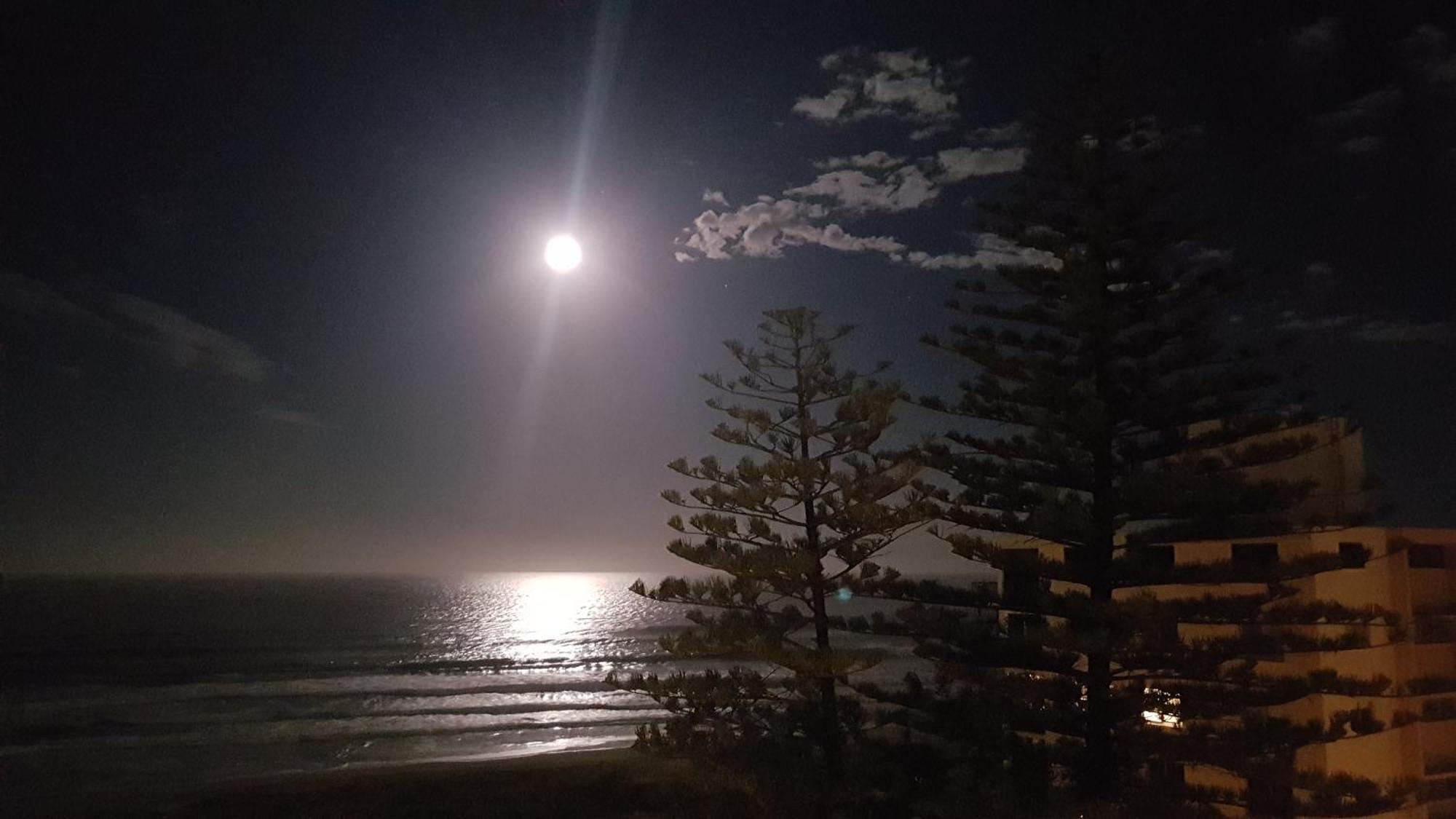 Surfers Chalet Gold Coast Eksteriør bilde